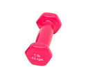 CanDo Vinyl Dumbbells