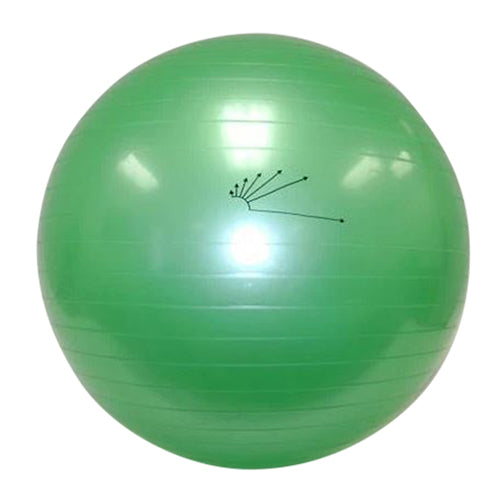 65-cm Burst-Resistant Fitness Ball